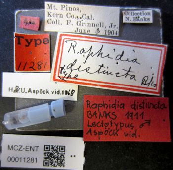 Media type: image;   Entomology 11281 Aspect: labels